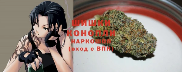 ПСИЛОЦИБИНОВЫЕ ГРИБЫ Алексеевка