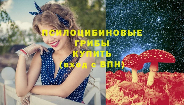 2c-b Абдулино